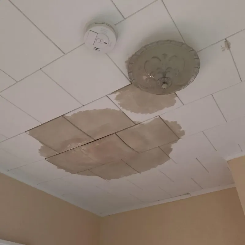 Ceiling Water Damage Repair in Richardson, TX