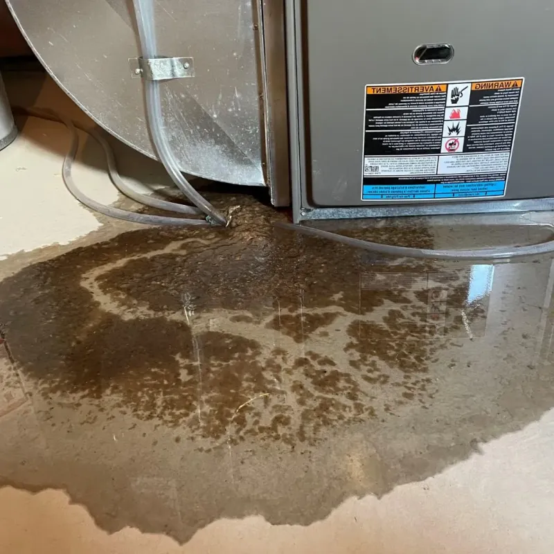 Pipe Burst and Leak Restoration in Richardson, TX